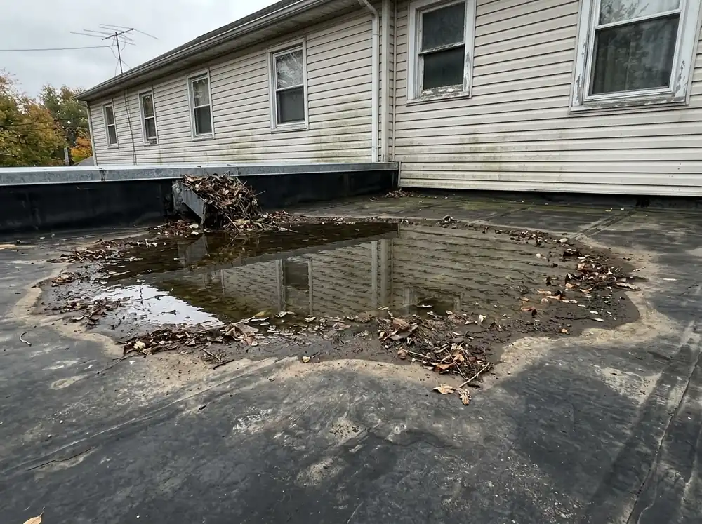 Rainwater and wet leaves pooled on a black rubber roof over a rear addition beside vinyl siding