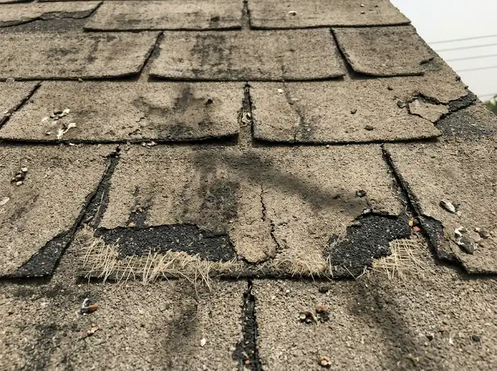 Worn three-tab shingles with cracks, bare spots and exposed mat where granules have worn away