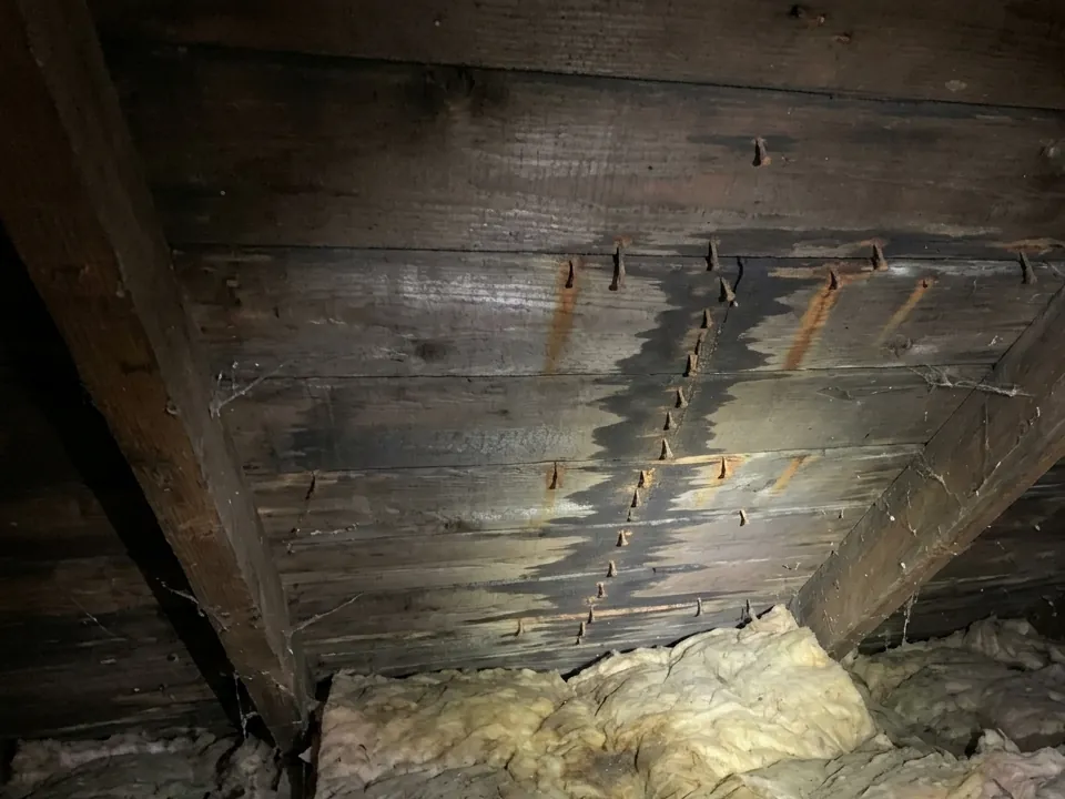 Water-stained roof boards, rusty nails and stained insulation in an attic