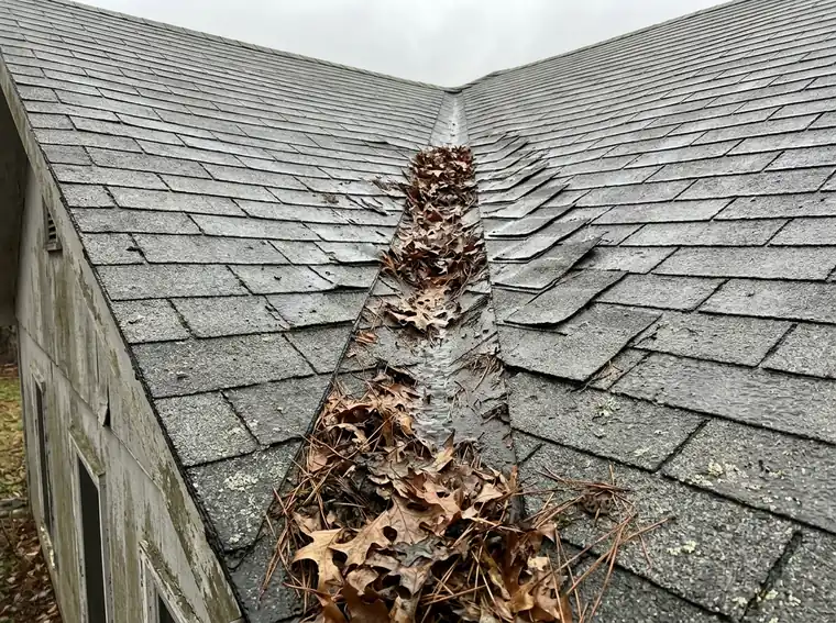 Wet oak leaves and pine needles packed in a shingled roof valley where two slopes meet